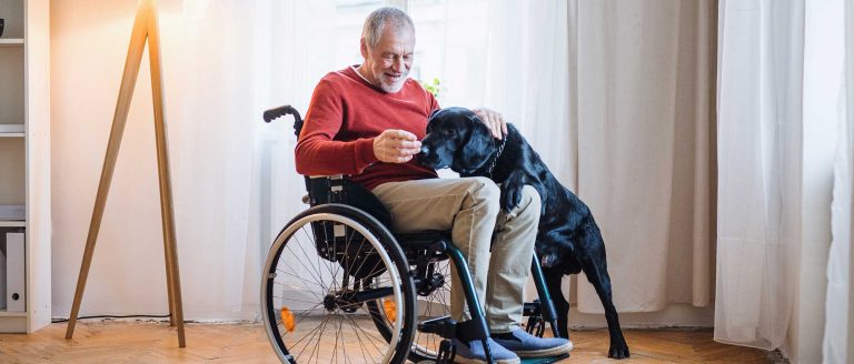 Connecting Seniors and Dogs on International Dog Day